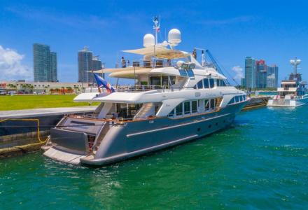 Andiamo now on the market