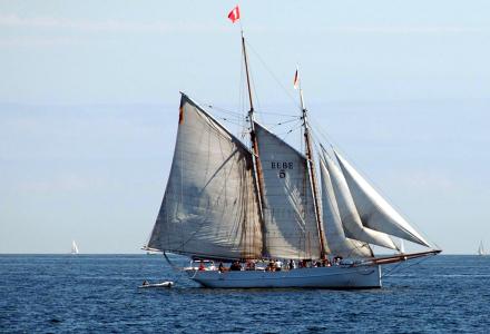 The 1883 sailing ship Elbe No 5 sinks near Hamburg