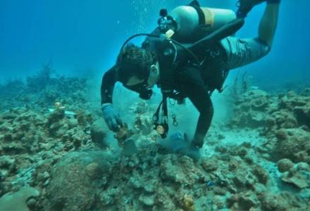 Restoration completed on coral reef damaged by Paul Allen’s Tatoosh