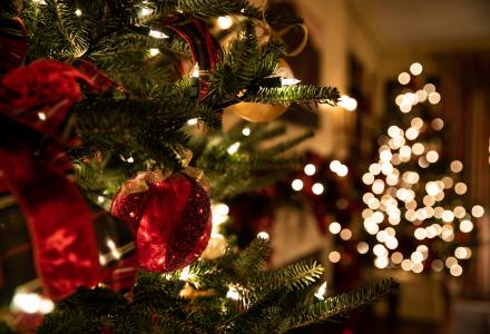 Merry Christmas 2023: Greetings from Shipyards on Social Media
