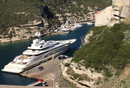 Pelorus spotted in Bonifacio, France