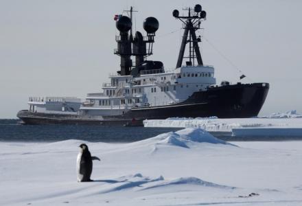 yacht Arctic P