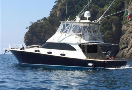 yacht Viking Yachts 54'