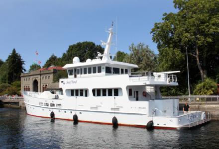 yacht Surfbird