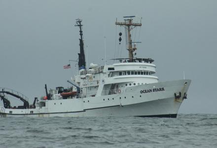 Ocean Starr