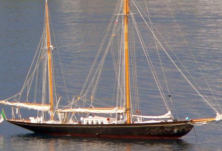 yacht Black Swan Of 1889