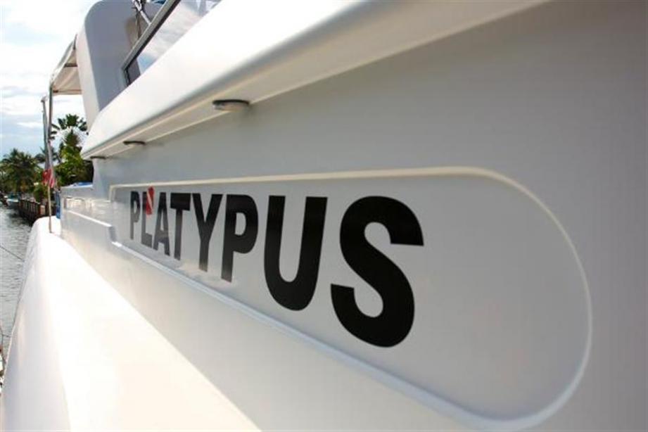 yacht Platypus