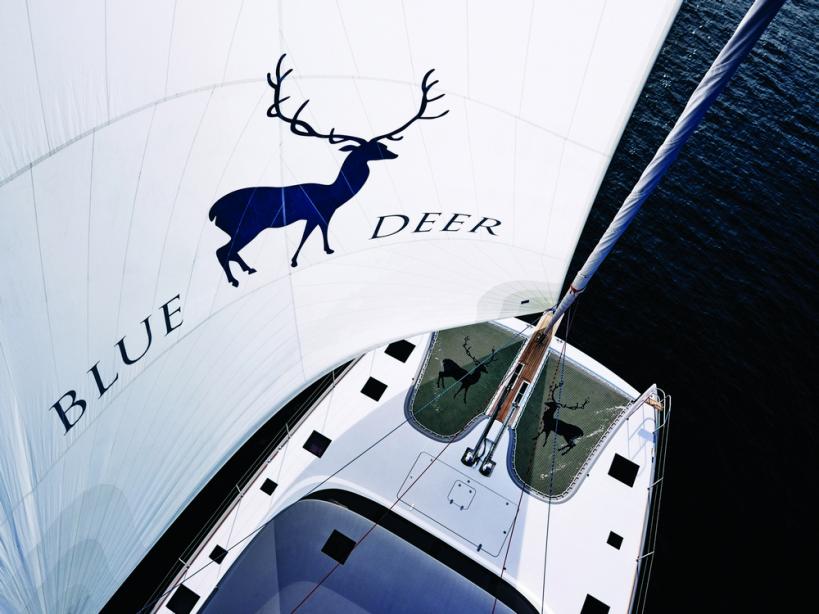 yacht Blue Deer