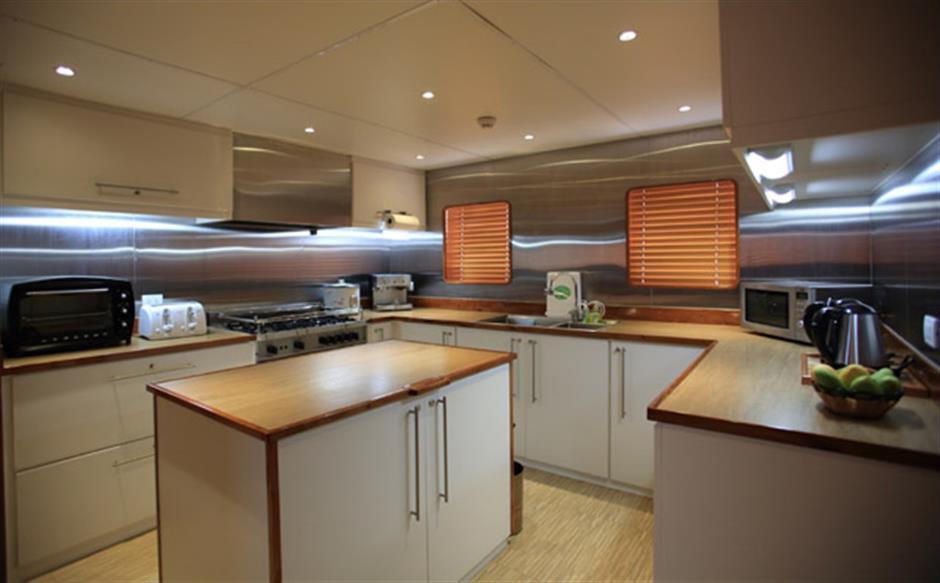 yacht Ren Rose