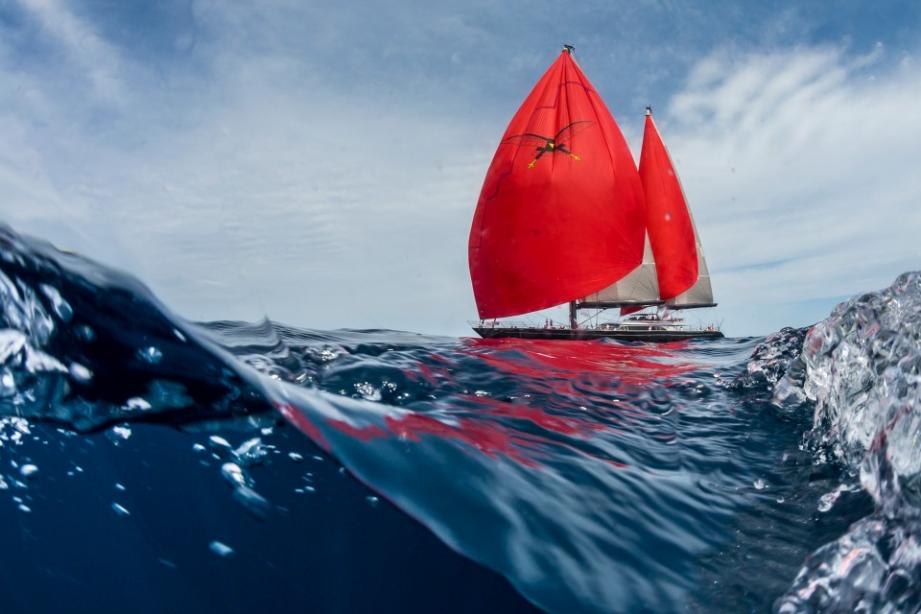 yacht Seahawk